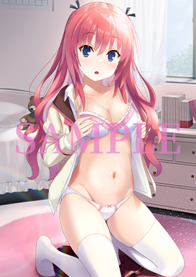 ソフマップ様