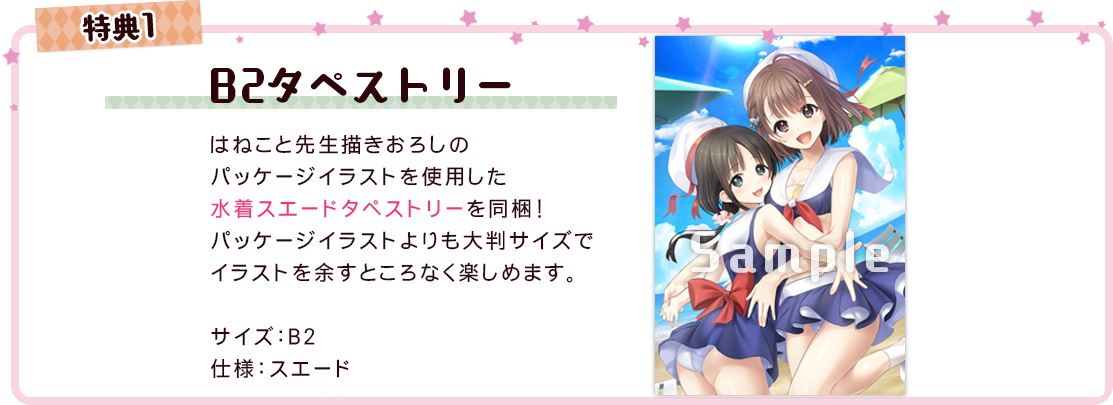 初回限定生産版1