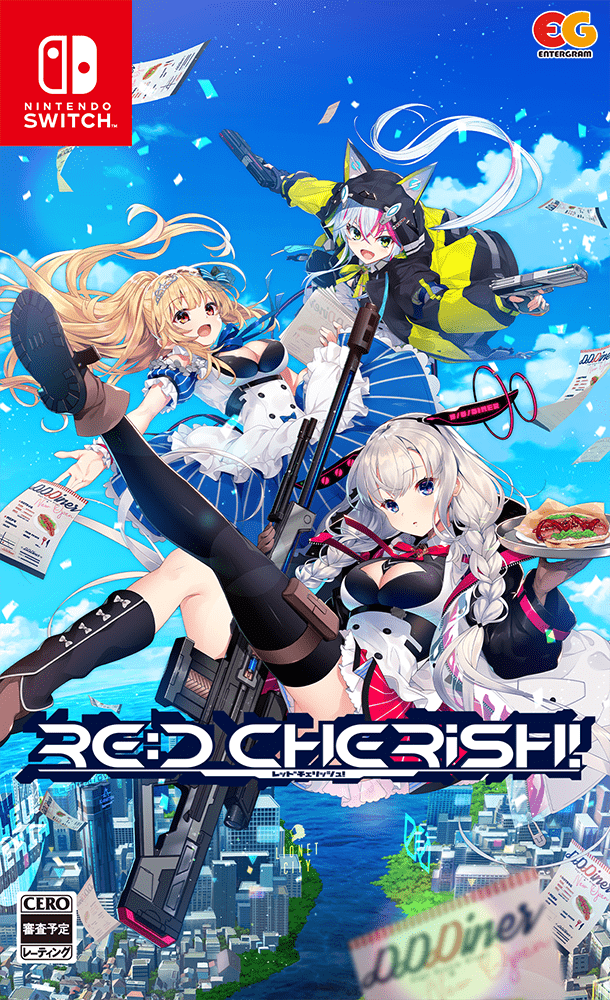 Switch パッケージ画像 通常版