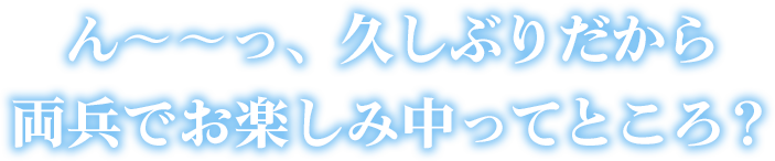 ん～～っ、久しぶりだから両兵でお楽しみ中ってところ？