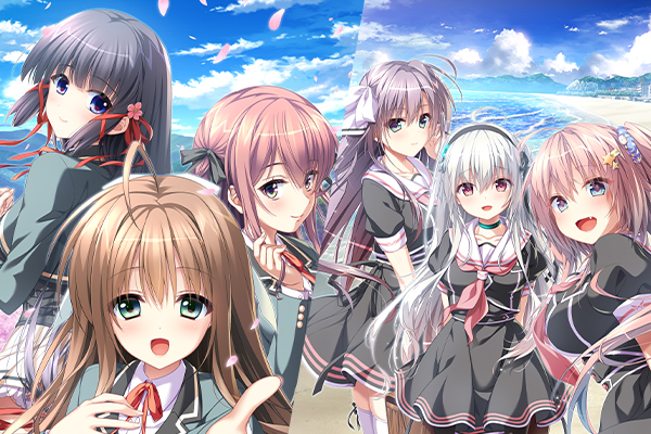 セット版